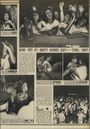 העולם הזה - גליון 2450 - 15 באוגוסט 1984 - עמוד 49 | ן ץן 1ך: ק צעירה היסטרית פו 1ערת פיה וצועקת כש שוטר ואיש ביטחון מפנים אותה, להקת ״כוורת״-רובם התוודעו ללהקה רק לפני חודש דני סנדרסון היה מחובר לגיטארה שלו,