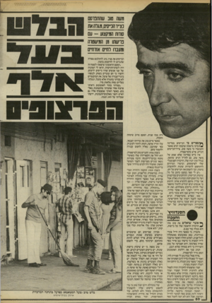 העולם הזה - גליון 2453 - 5 בספטמבר 1984 - עמוד 60 | משה טוב שהתכרסם נצייר וונ״סים, מגרה את סודות המיקצוע -עם פרישתו מן המישטוה ומעברו רחיים אזרחיים הכייסים את פניו, נהג להתלבש כצורה שתגרום לו להיטמע בהמון. ״הפעם