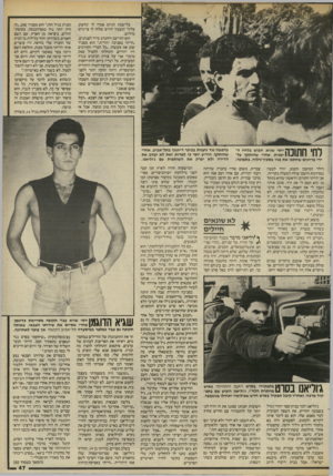 העולם הזה - גליון 2454 - 12 בספטמבר 1984 - עמוד 47 | בלישכת הגיוס אמרו לו ׳נחשוב עליך׳ וכעבור חודש שלחו לו צו־גיוס כדרוש. הוא התייצב והתנדב מייד לצנחנים. ״חייתי בסביבה יהודית ״,הוא מסביר שוב את מעשהו ,״כל חבריי