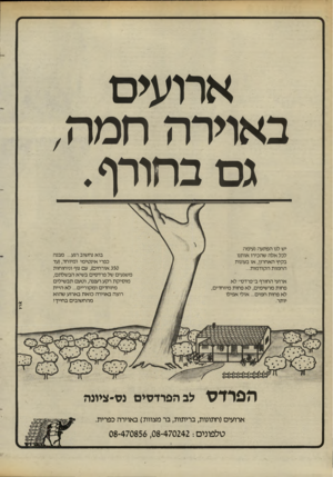 העולם הזה - גליון 2456 - 26 בספטמבר 1984 - עמוד 38 | ארועים באוירה חמה, גם בחורף. יש לנו הפתעה נעימה לכל אלה שהכירו אותנו בקיץ האחרון, או בעונות החמות הקודמות... ארועי החורף ב״פרד ס״ לא פחות מר שימים, לא פחות מיו