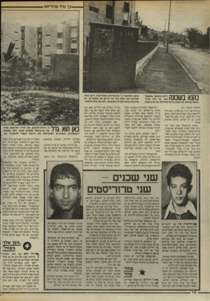העולם הזה - גליון 2462 - 7 בנובמבר 1984 - עמוד 12 | כך נולד טרוריסט רחוב טיפוסי בקטמו־נים. על לוח ארוך חשמל ברחוב מודבקת כרזת־בחירות של הרב מאיר כתנא בשמנה (המשך מעמוד )11 הגדולה של דויד, על אחיה .״הוא היה ילד