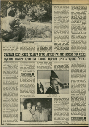 העולם הזה - גליון 2466 - 5 בדצמבר 1984 - עמוד 19 | צון לקבל מדים ונשק, מביאים אותם לשורותיו. אסילו תושבי הדרום כבר הדביקו להם את הכינוי ״ג׳נוד מעאש״ — חיילי משכורת. הבעיה החמורה ביותר בצד״ל, אחרי בעיית הגיוס,