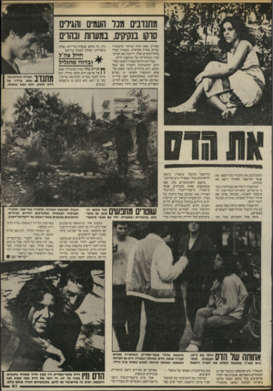 העולם הזה - גליון 2466 - 5 בדצמבר 1984 - עמוד 41 | מתנדבים מנר העמים והגידים סדקו בנקיקים, במעוות ובהרים מסריק, אסא רמץ: כנראה שהעובדה שהדס בחורה אחראית, שעמדה תמיד בלוח־הזמנים שלה, דירבנה את המיש־טרה כשהחליטו