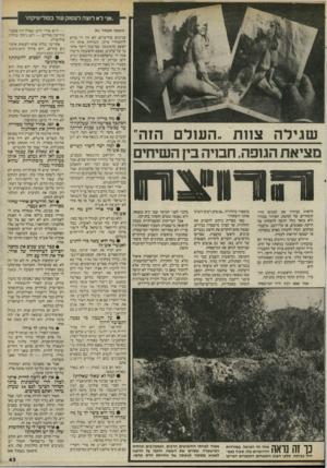 העולם הזה - גליון 2468 - 19 בדצמבר 1984 - עמוד 43 | ״אני ל א רו צ ה לעסוק עו ד בפוליטיקה!״ (המשך מעמוד )41 עניינים פוליטיים. לא היו לי כלים להתמודד איתו. השיחות איתו היו הפעם הראשונה שמישהו דיבר איתי כך על