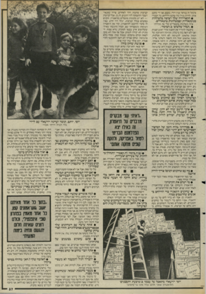 העולם הזה - גליון 2470 - 2 בינואר 1985 - עמוד 37 | פינקל זה כנראה ענין דורי. בעצם, אני די מחבב אותו. להיות בגיל כזה עקשן וללחום, כל הכבוד! • הקאריירה •מלך רצופה בהצלחות פנומנאליות ובבשלונות טוטאליים. איזה