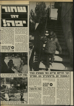 העולם הזה - גליון 2471 - 9 בינואר 1985 - עמוד 10 | הבית החדש. אחר־כך רצה הביתה להכין ארוחת־צהריים לארבעת ילדיה, ובערב חזרה שוב למרכז־הקליטה :״הם כל כך נחמדים!״ אמרה שוב וחייכה כלפי האתיופים. כשהיא מעבירה ליטוף