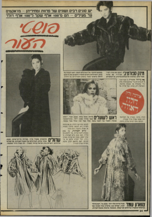 העולם הזה - גליון 2476 - 13 בפברואר 1985 - עמוד 25 | יש סעים רבים ושתים שד פר ח ת ומחיריהן -מדאקטים עד מעידים -הם מ־ 100 אל ף שקר ל־ 100 אל ף דולר ׳6 6 1 0 ^ ן ! 41*1ווו ן ן 1ן<**וו**י***י<*י*וו > 11111ז > וויייי