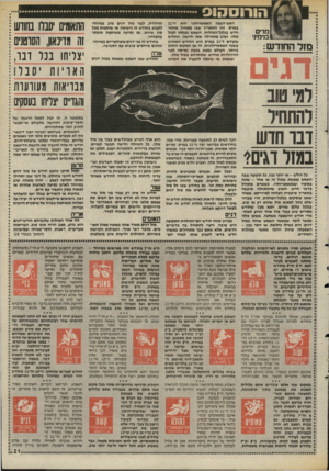 העולם הזה - גליון 2479 - 6 במרץ 1985 - עמוד 21 | הגרגסהוס מרים בנימי!׳ מזל החודש: רמי טוב רהתחיר דנו חדש במזל דגים? כל חודש -או יותר נכון, בל תקופה שבה השמש נמצאת במזל זה או אחר -שונה באופיו ובמשמעויותיו.