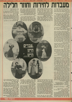 העולם הזה - גליון 2483 - 3 באפריל 1985 - עמוד 29 | מטבחת לחירות וחוזר חררה פסח. פרעה, משה בתיבה, מצות, קניידלר 20 , יום חופש לילדים, נקיון כללי, מתנות, ליל־הסדר, מישפחה נעלבת, פיתות ביפו, אורחים מחוץ לעיר. יש