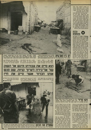 העולם הזה - גליון 2483 - 3 באפריל 1985 - עמוד 9 | לא הספיקו להימלט. בתוך דקות ספורות הגיעו לשוק אנשי כוחות־הביטחון. הם הכריזו על עוצר והתחילו לאסוף את כל הגברים אל מאחורי השוק, אל תחנת האוטובוסים. שעה קצרה