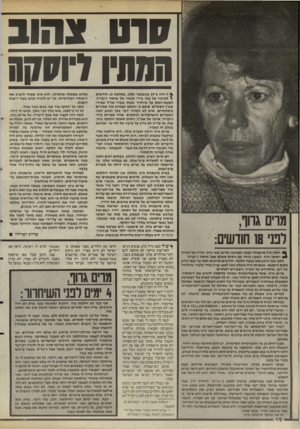 העולם הזה - גליון 2490 - 22 במאי 1985 - עמוד 10 | סרנו * חו ג הוותיו דומיה 111־ 0גרוף, רט׳ 18 חורשים: 4חולון גרה מישפחה קטנה ואמיצה: מרים וצבי גרוף, הוריו של החייל ₪₪יוטקה גרוף. השבוי ביחד עם ניטים סאלם אצל