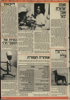 העולם הזה - גליון 2497 - 10 ביולי 1985 - עמוד 21 | ך־ך י* 5 $יג דיכאון חוצפה ישראלית ואונו יפאני קוניקו וטושי יאנאגיסווא ושתי בנותיהם הקטנות, בעלות פני הפורצלן, עזבו את טוקיו ובאו לגור בתל״אביב לתקופה של ארבע