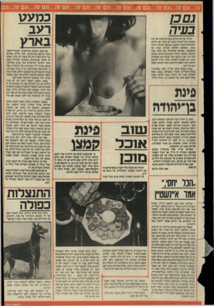 העולם הזה - גליון 2498 - 17 ביולי 1985 - עמוד 21 | זה ...וגם זה...וגם זה...וגם זה...וגם זה...וגם זה ...וגם זה ...וגם זה...וגם זה...וגם זה...וגם כמעט רעב ב אר ע גטבן בעיה יש לך שדיים גדולים וכבדים ובעיה של כוח