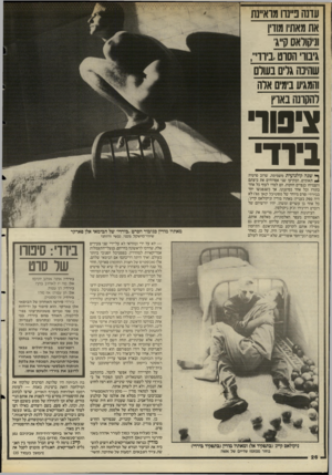 העולם הזה - גליון 2499 - 24 ביולי 1985 - עמוד 26 | עדנה ב״נרו מוא״נת אתמאת! מורן וניקודאס ק״ג׳ גיבוו הסוטביוד,,,, שהינה גרים בעולם והמגיע בימים ארה להקרנה בארץ ^סור בירד־ ן* שנה קולנועית משמימה, שרוב סרטיה ^