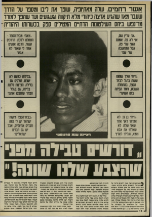 העולם הזה - גליון 2500 - 31 ביולי 1985 - עמוד 17 | אשררח מי ם, שרה מאתיופיה, שובו את ליבו ומסבו־ ער הדון שעבו מאז שהגיע אוצה כיהודי מלא תיקווה וגעגועים ועד שחבו למורד מר־נפש ביחס השילטונות הדתיים המטילים ספק
