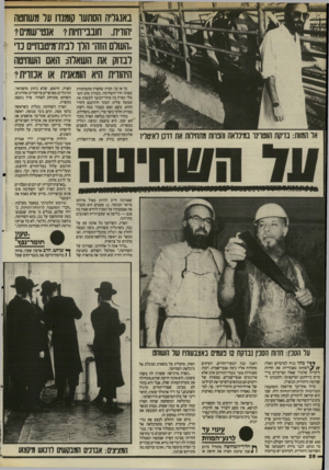 העולם הזה - גליון 2505 - 4 בספטמבר 1985 - עמוד 27 | באנגליה הסתעו קומנדו ער משחטה £הודית, חובבי־חיווז 1אנטי־שמים? ..השלם הזה׳׳ הלו רבית־מיטבח״ם נו לבדוק את השאלה: האם השחיטה היהודית היא הומאנית או אכזרית1 אר