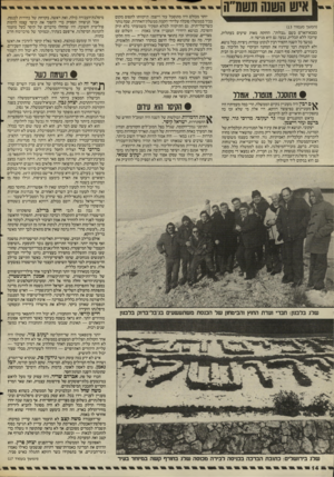 העולם הזה - גליון 2506 - 11 בספטמבר 1985 - עמוד 15 | איש חשש תשמ״ה (המשך מעמוד )13 בצבא־האו״ם בשם ״נבלות״ .החזקת מאות שיעים בעתלית, ערובה ללא תכלית. נבעה גם היא מגישה זו. במשך כל השנה הקפיד רבין לנקוט עמדות