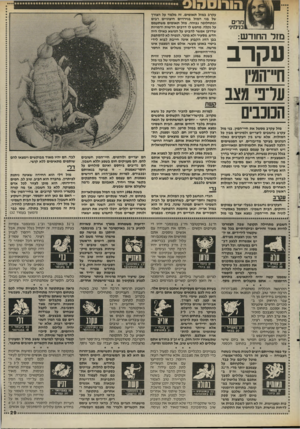 העולם הזה - גליון 2513 - 30 באוקטובר 1985 - עמוד 29 | הו ר מדים בנימיני מזל החודש: עקרב ח״־הודו ער 3מצג הכוכבים מזל עקרב מסמל את חיי-המין. בני מזל עקרב נחשבים ליצריים ולמיניים מבין כל המזלות. אלא שיש בין העקרבים