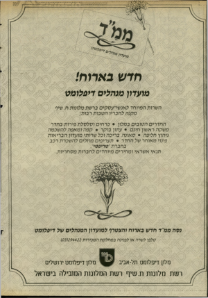 העולם הזה - גליון 2518 - 4 בדצמבר 1985 - עמוד 33 | חדש בארוח! מועדון מפהליס <פל מס השרות המיוחד לאנשי־עסקים ברשת מלונות ח. שיף מקנה לחבריו הטבות רבות; החדרים הטובים במלון • פרחים וסלסלת פירות בחדר משקה ראשון