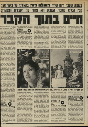 העולם הזה - גליון 2521 - 25 בדצמבר 1985 - עמוד 29 | בשבוע שעבו דיווח שריח ר ש ^ ס רזר בתאילנד על בישו אצר קטין הכלוא במוסד. השבוע הוא מדווח על העצירים המבוגרים ^ ל הסיפור מבויים ולא מבו־יים ״,קרא לעברי אמיל