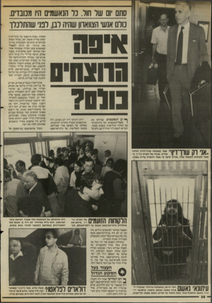 העולם הזה - גליון 2521 - 25 בדצמבר 1985 - עמוד 36 | סתם יום שר חור. כל הנאשמים היו מכובדים. מלם אנשי הצווארון שהיה לבן, לפני שהתלכלך אי3ו! הדואהים 7010 ף* וב הנאשמים, שמילאו את 1ספסל־הנאשמים של בית־המיש־פט
