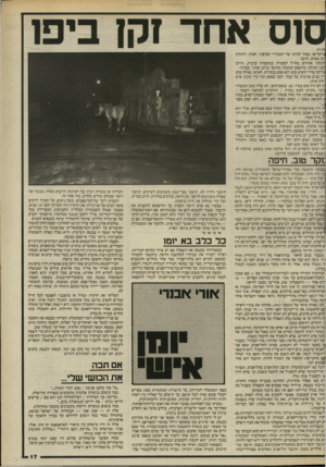 העולם הזה - גליון 2524 - 15 בינואר 1986 - עמוד 17 | חוויה: נרום־יפו, סמוך לביתו של השגריר הצרפתי. חצות. רחובות ן ים מאדם. חושך. לקחתי אורחים מחו״ל לסעודה במיסעדה ערבית, והיינו יכנו הביתה. פיתאום הבחנתי בחושך