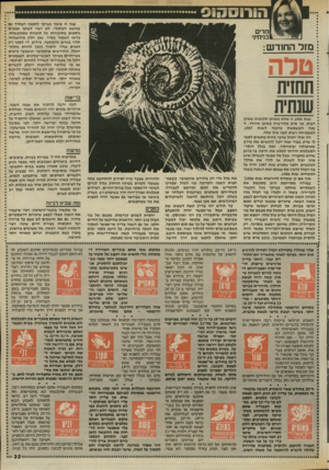 העולם הזה - גליון 2533 - 19 במרץ 1986 - עמוד 33 | ה 811ט 13ג ס שנה זו טובה בעיקר לתכנון העתיד גם בנושא הכלכלי. לא רצוי לשתף אנשים נוספים בתוכניות, כל תוכנית שמתבשלת, כדאי לשמור בסוד, שכן חלק מההצלחה תלוי בגורם