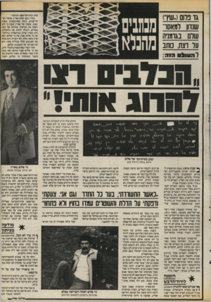 העולם הזה - גליון 2541 - 13 במאי 1986 - עמוד 17 | טרה ובית־המישפט הגרמני! בחור בשם יצחק אסייג, סרסור וסו- חר־סמים, נרצח בפרנקפורט בשנת .1981 אשתו של אסייג טענה כי היא ראתה את המיקרה ממרחק של כמה מטרים, ויכולה