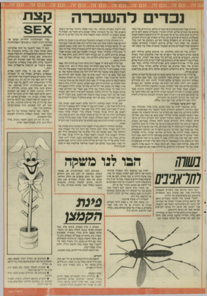 העולם הזה - גליון 2547 - 23 ביוני 1986 - עמוד 21 | נכדים להשכרה זה ידוע שכל האנשים אוהבים את הנכדים שלהם. גם ההורים שלי מאוד אוהבים את הנכדים שלהם. למרות העובדה שהנכדים שיצאו להם זה לא בדיוק מה שהם חלמו. נכדים