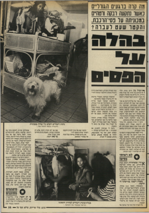 העולם הזה - גליון 2553 - 6 באוגוסט 1986 - עמוד 35 | מה קוה נוגעים הגווו״ם כאשר נתקעה ובקה ווטה״ם במכוניתה עד בסי־הוכבת, והקטר שעט לעברה? ^ הבדל בין חיים ומוות תלוי 1 1לעיתים על חודה של שניה אחת גורלית, וזה בדיוק