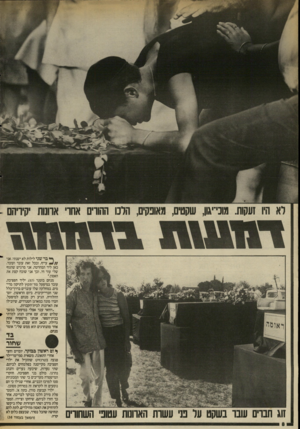 העולם הזה - גליון 2553 - 6 באוגוסט 1986 - עמוד 8 | לא היו זעקות. מוכי־יגון, שקטים, מאופקים, הלנו ההורים אחרי ארומת יקיריהם ^ בר שני לילות לא ישנתי. אני עייף, ובכל זאת עובד ועובד. כאן ליד המחרטה, אני מרגיש שהגוף