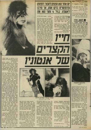 העולם הזה - גליון 2554 - 13 באוגוסט 1986 - עמוד 35 | _ דיל התועבות (המשך מעמוד )32 תבוסה מוסרית בהצבעה הסופית. החוק. שהיה אמור ללכד את כל הציבור ״נגד הטרור״ ,התקבל על־ידי מיעוט עלוב בכנסת: 47 בעד 25 ,נגד 0