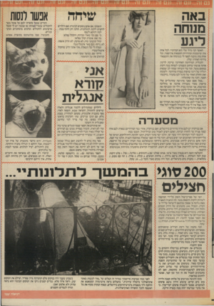 העולם הזה - גליון 2560 - 24 בספטמבר 1986 - עמוד 21 | שיחה תשמעי, אם אתם נוסעים לכינרת ואם הילדים לוחצים ללכת למגלצ׳ות, תלכו רק לחוף צמח. למה דווקא לשם? כי שם נקי מאוד ומרווח, והקהל נפלא! מה זאת אומרת קהל נפלא?