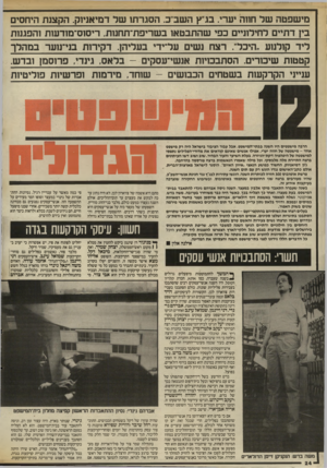 העולם הזה - גליון 2564 - 22 באוקטובר 1986 - עמוד 24 | מישפטה של חוזר יערי. בגי ץ השב״ב. הסגרתו שד דמיאניוק. הקצנת היחסים בין דתיים רחידזניים כפי שהתבטאו בשריפת־תחנות. ריסוס־מודעות והפגנות ליד קולנוע ״היכל״ .רצח