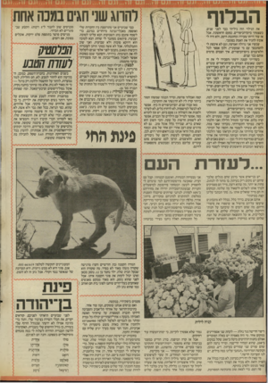 העולם הזה - גליון 2564 - 22 באוקטובר 1986 - עמוד 34 | הבלוף את הגילוי הזה גיליתי כבר לפני שנים, כשצמתי ביום־הכיפורים, בפעם הראשונה, אבל אז עוד הייתי צעירה ומחוננת היטב, ולא היה לי אומץ להגיד את האמת בפומבי. עכשיו