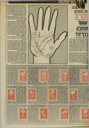 העולם הזה - גליון 2565 - 29 באוקטובר 1986 - עמוד 33 | בכף היד הדבר נעשה ביתר פשטות. יש רק לזהות קו אחד, הנקרא בשם ״שביל החלב״ .למעשה, אי״אפשר להתייחס רק לקו אחד. צורת כף־היד וכן הגבעות והקווים האחרים יש להם חלק רב