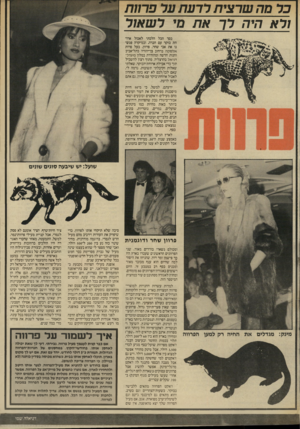 העולם הזה - גליון 2569 - 26 בנובמבר 1986 - עמוד 21 | פרוות שרצית רד ע ת ער ולא היה לךאת מי ל שאור בסך הכל הלכתי לאכול ארוחת בוקר עם חברה, ובמיקרה פגשנו את אבי שחר, פרוון, בעל פרות אלסקה ברחוב בן־יהודה בתל־אביב