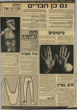 העולם הזה - גליון 2574 - 31 בדצמבר 1986 - עמוד 25 | ג ם פן אז הנה, גם זה קרה לי. מי שפתח את מכשיר הטלוויזיה באחד מימי השבוע שעבר, יכול היה לראות אותי מראיינת אדון אחד. אני שאלתי, הוא ענה. כל העסק לקח שש דקות