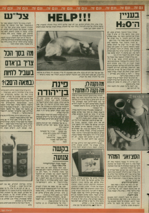 העולם הזה - גליון 2577 - 21 בינואר 1987 - עמוד 21 | בעניין ן ה־11120 אגודת שומרי־מישקל נחמדים ממש. הם הבינו, מתוך קריאת מדור זה, שיש לי בעיה חמורה עם הקוראים. משהו כמו ״אתם שואלים ואני לא יודעת להשיב״ ,כי מכל