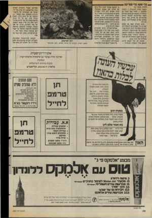 העולם הזה - גליון 2582 - 25 בפברואר 1987 - עמוד 26 | י _ בלי סקס. בלי פפריקה — (המשך מעמוד )25 הועברו בחזרה להונגריה — להלכה לטובתם — למחוז שעל הגבול עם יוגוסלוויה. למעשה הם נקרעו מבתיהם והפכו בעל־כורחם לכובשי