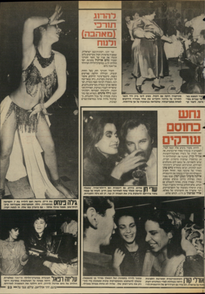 העולם הזה - גליון 2585 - 18 במרץ 1987 - עמוד 23 | ל1־.ו־ 1ג תנרכי (מאהבה) ולנ 1ח זמר יווני, רקדנית־בטן ישראלית, שמפניה צרפתית וקהל מעריצים נלהב קיבלו את פניו של הזמר התורכי הצעיר נזו־ם אורגול בחגיגת יום־