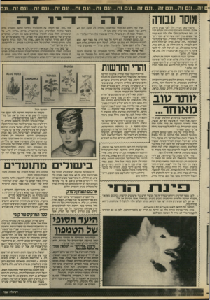 העולם הזה - גליון 2585 - 18 במרץ 1987 - עמוד 31 | זה ...וגם זה...וגם זה...וגם זה...וגם זה ...וגם זה...וגם זה...וגם זה...וגם זה...וגם זה 1...נ גוער עבודה מישהו שאני מכירה הלך לפני שבוע ברחוב אלנבי, ופיתאום הוא