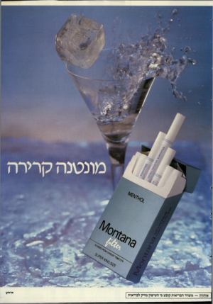 העולם הזה - גליון 2594 - 20 במאי 1987 - עמוד 44 |