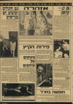 העולם הזה - גליון 2597 - 10 ביוני 1987 - עמוד 25 | זה...וגם זה...וגם זה...וגם זה1...גם זה1...גם זה 1...גם זה...וגם זה1...גם זה...וגם זה...עם * 0כן- גמ חתולימ ופלגים הם בגי־אדם 7ו/7/ 77 אחרי שהמציאו בשבילנו,