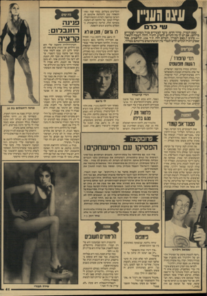 העולם הזה - גליון 2597 - 10 ביוני 1987 - עמוד 41 | תקליטים משלהם. בסוף שנת 1985 התאחדו שוב להקלטת אלבומם זה, השישי במיספר. למרות תקופת־הסולו, הצליל המוכו של הלהקה לא השתנה. מוסיקה קלה, קליטה ומיקצועית, בתקליט