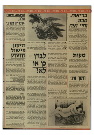 העולם הזה - גליון 2599 - 24 ביוני 1987 - עמוד 22 | נם זה ...וגם זה...וגם זה...וגם זה...וגם זה...וגם זה 1...גם זה1...ג זה...וגם זה1...ג זה...וגם (מיכתב איש)1 שלום, ״סיט־״ת מערב״ בריאות, טבע, וחיי נצח פעם היתה