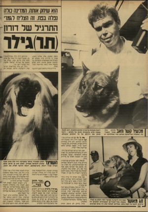 העולם הזה - גליון 2600 - 1 ביולי 1987 - עמוד 38 | הוא שיחק אותה. המדינה נורה נפלה בפח. זה הצליח לגמרי התר גי לשלדוחן - (ווו)גידר מזאת: הסוכנת שלה, אולגה הרציג, אמרה כי בריז׳יט בררו מעולם לא הבטיחה את השתתפותה