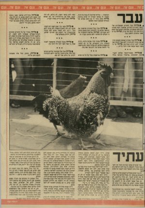 העולם הזה - גליון 2613 - 30 בספטמבר 1987 - עמוד 21 | ...וגם זה...וגם זה...וגם זה...וגם זה...וגם זה...וגם 7ה1...גם זה...וגם 7ה...וגם 7ה1...גם עבר * •סלי ח ה מכל החברים השמאלניים שלי ומשני החברים הימניים, שבשעת