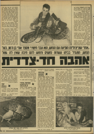 העולם הזה - גליון 2618 - 4 בנובמבר 1987 - עמוד 31 | ^ דירת מישפחת שניצקי שב* • רמת־השרון יש שלושה חדרים. חדר אחד להורים, חדר אחד לבן אודי וחדר אחד לנחשים. איסוף וגידול נחשים — זהו התחביב של אודי שניצקי בן ה־ .