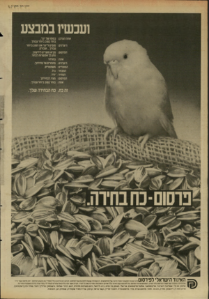 העולם הזה - גליון 2621 - 25 בנובמבר 1987 - עמוד 32 | 1עבשי 1במבצע אתה הצוק: ב סז פ זש ל ר בו . היצרנים: הפרסום: אתה: היצרנים: המוצרים: המבחר: המחיר: הפרסום: אתה: סחר בטיב ביזתר עבורך. מוסים לייצר את הטוב ביותר